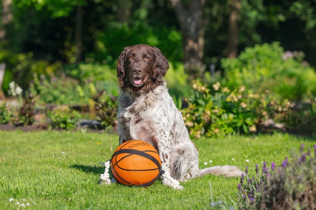 Beeztees Action Basketbal Hondenspeelgoed 24cm - Oranje