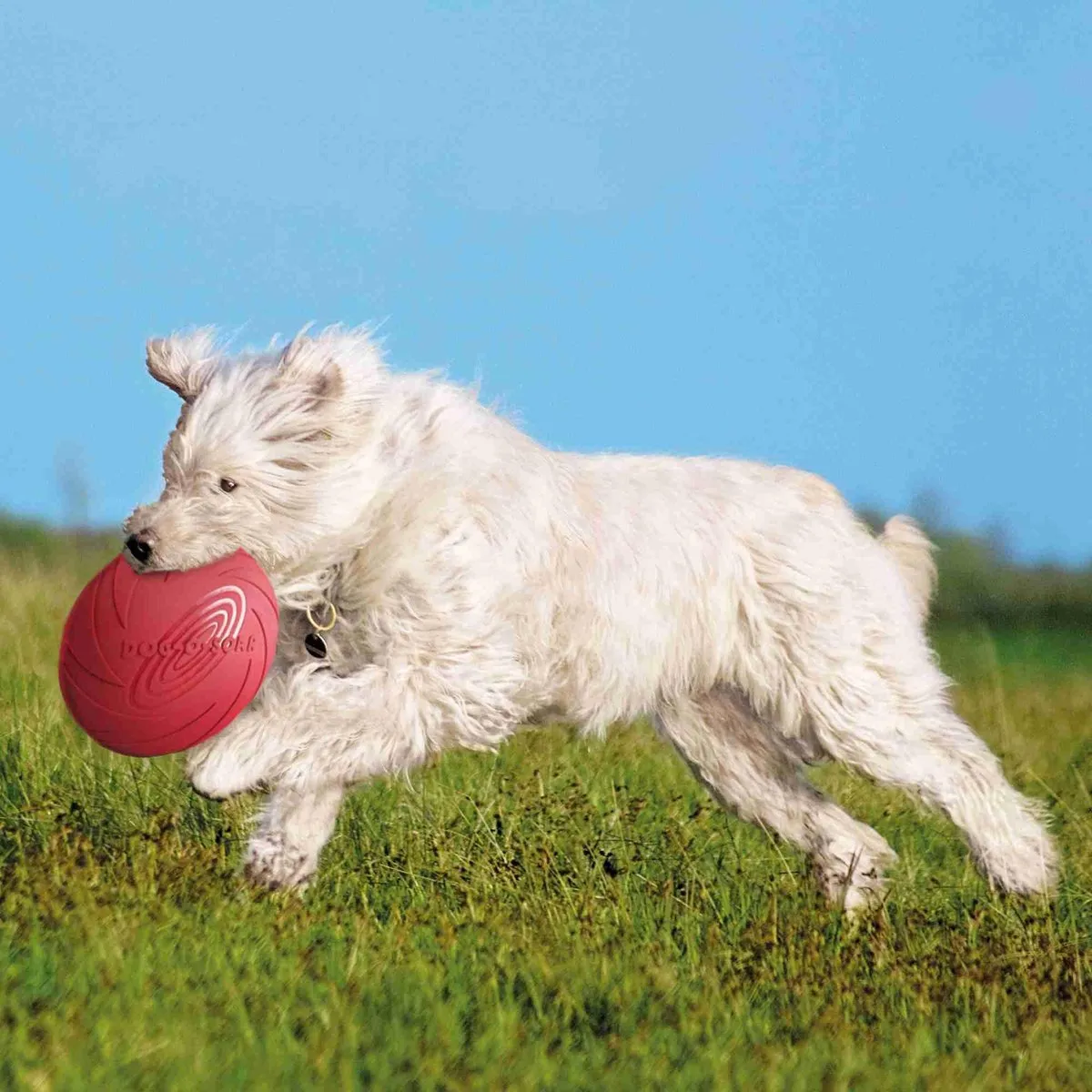 Trixie Dog Disc Drijvend Natuurrubber - 24x24cm - Assorti - afbeelding 3 van 5