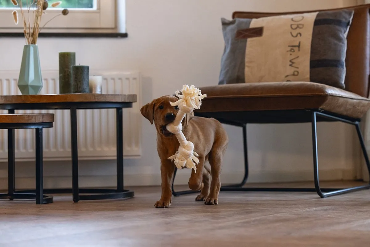 Beeztees Puppy Speeltouw Pim - 3 Knopen - Beige