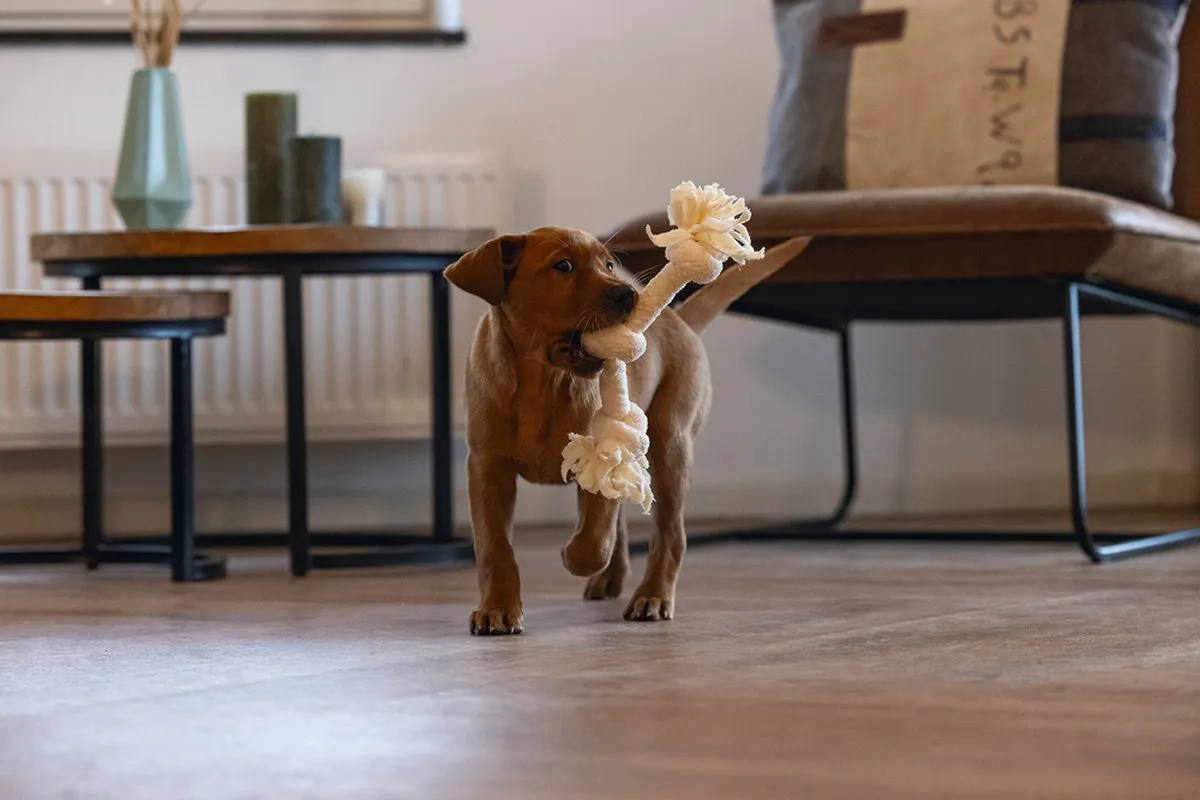 Beeztees Puppy Speeltouw Pim - 3 Knopen - Beige