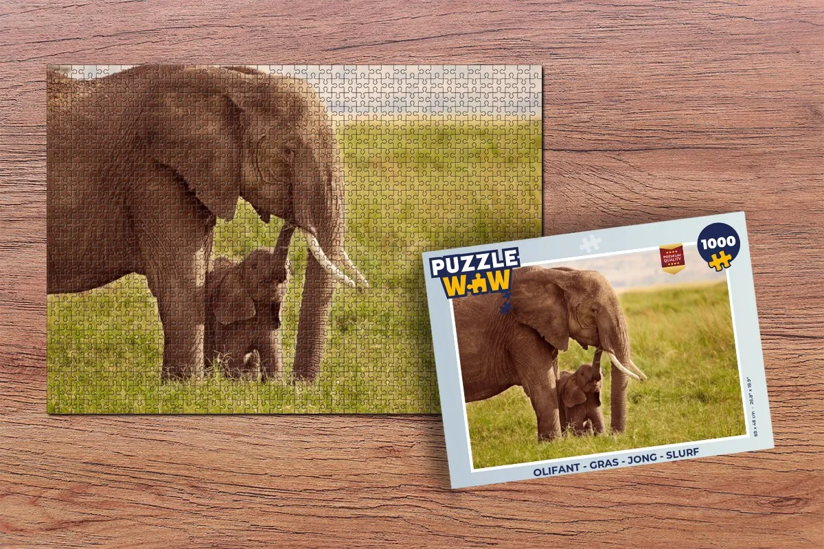 PuzzleWow Olifant Legpuzzel 1000 Stuks - Multicolor