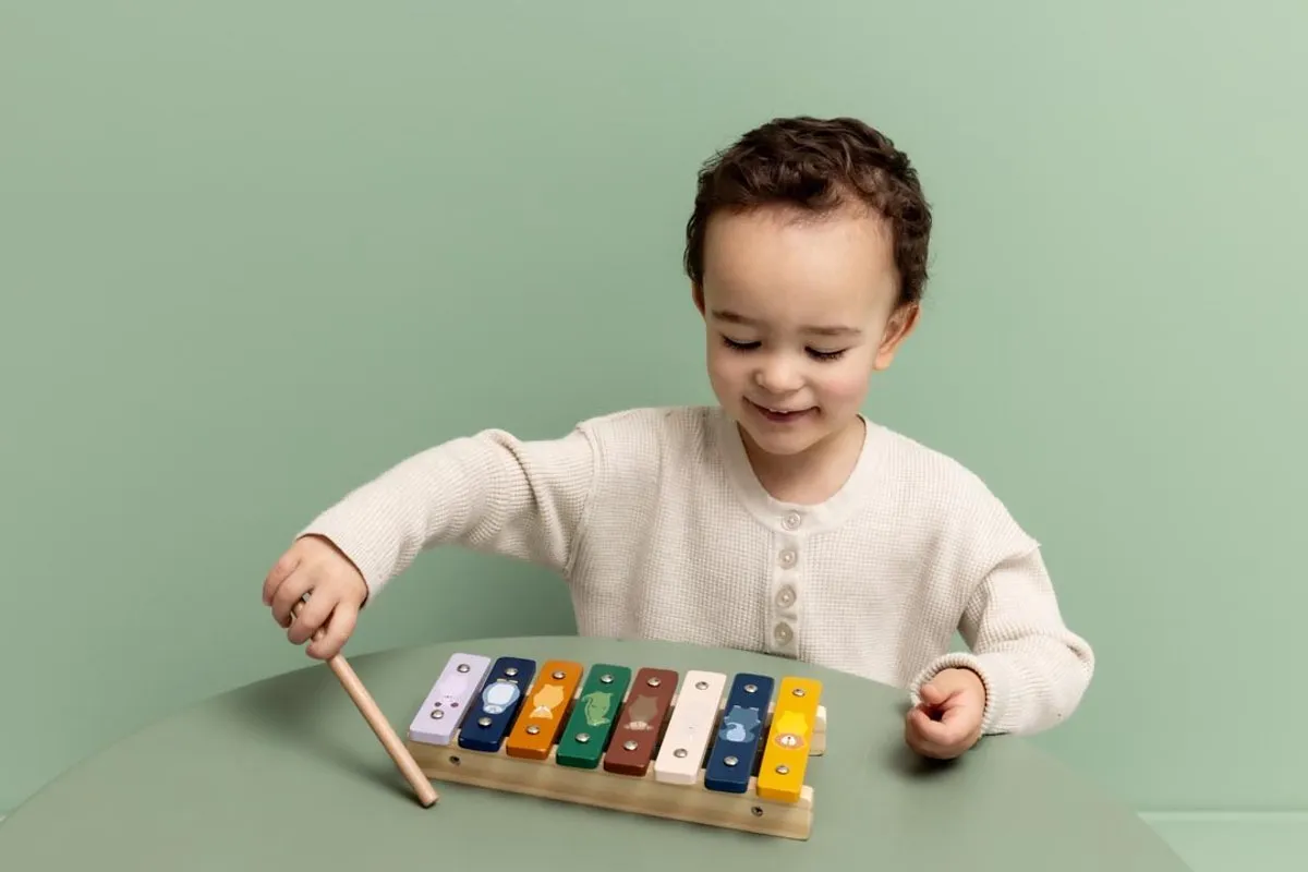 Trixie Wooden Xylofoon - Multi kleuren