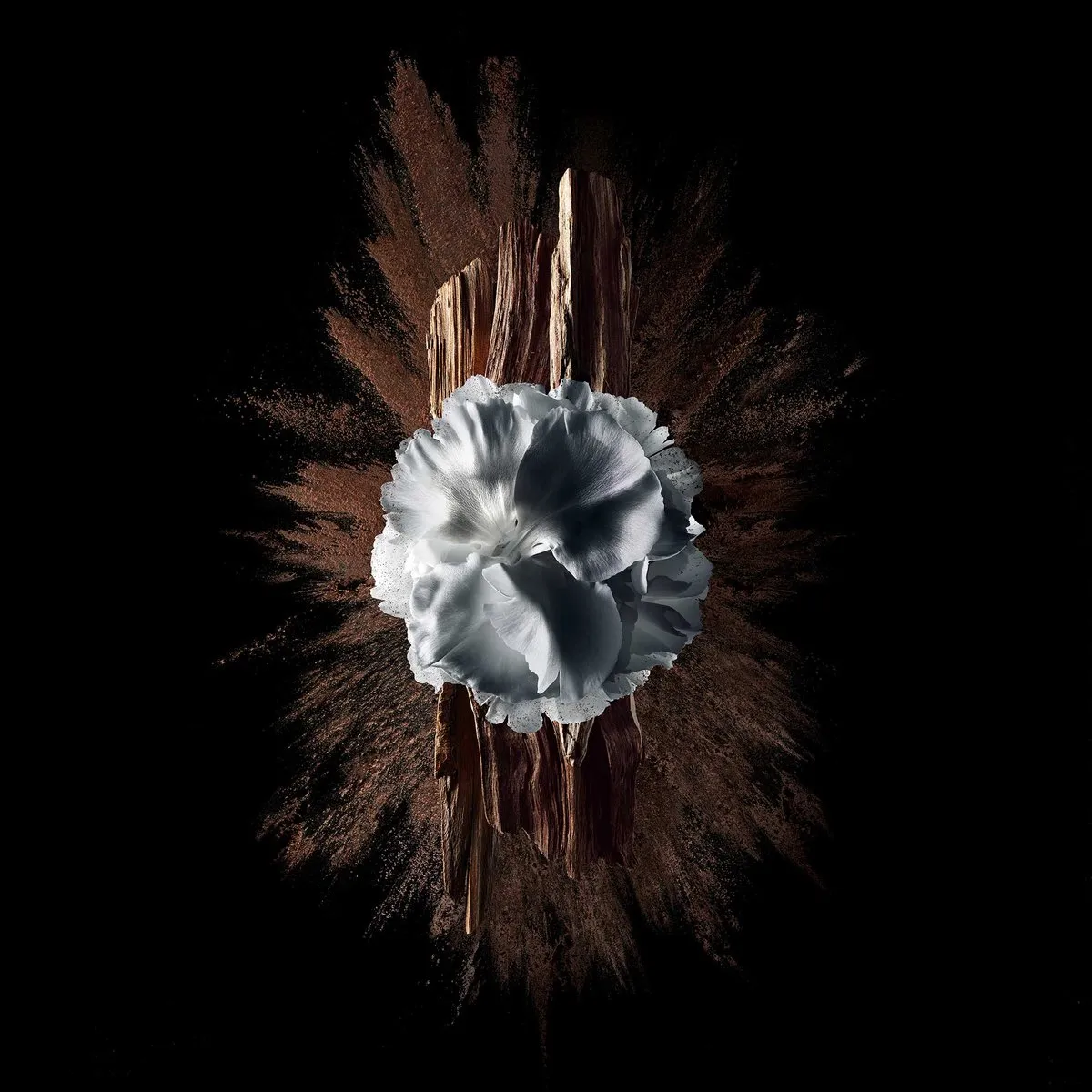 Givenchy Gentleman Society Extreme Eau de Parfum spray 100ml