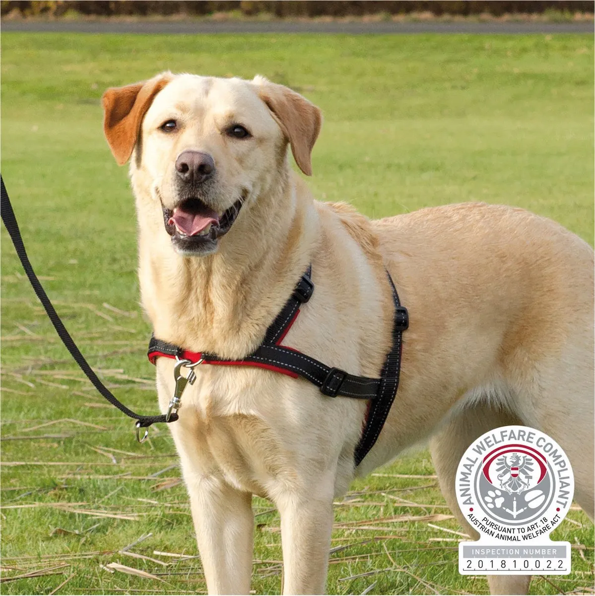 Trixie Lead'N'Walk Zacht Tuig M-L 55-90cm - Zwart