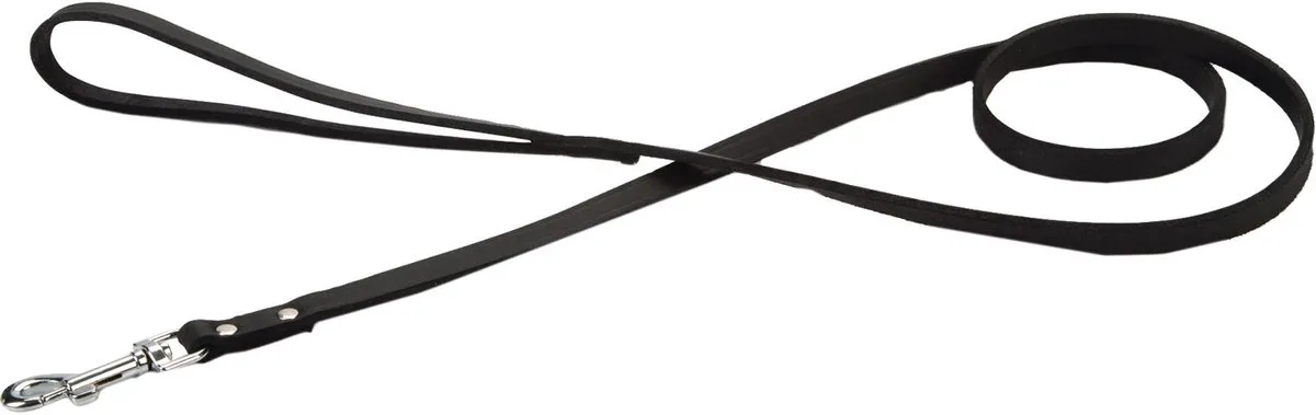 Beeztees Hondenriem - 130x12cm - Bruin