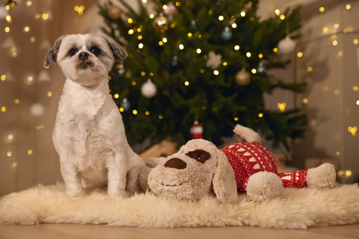 Beeztees Kerst Comet Knuffel Hondenspeelgoed XL - Wit/Rood