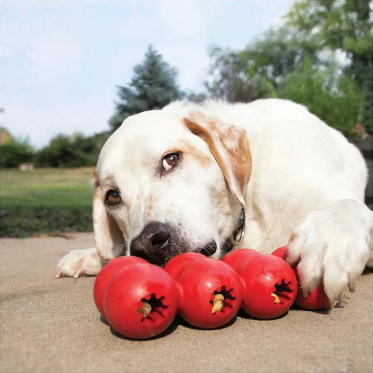 KONG Goodie Ribbon - Large - Rood