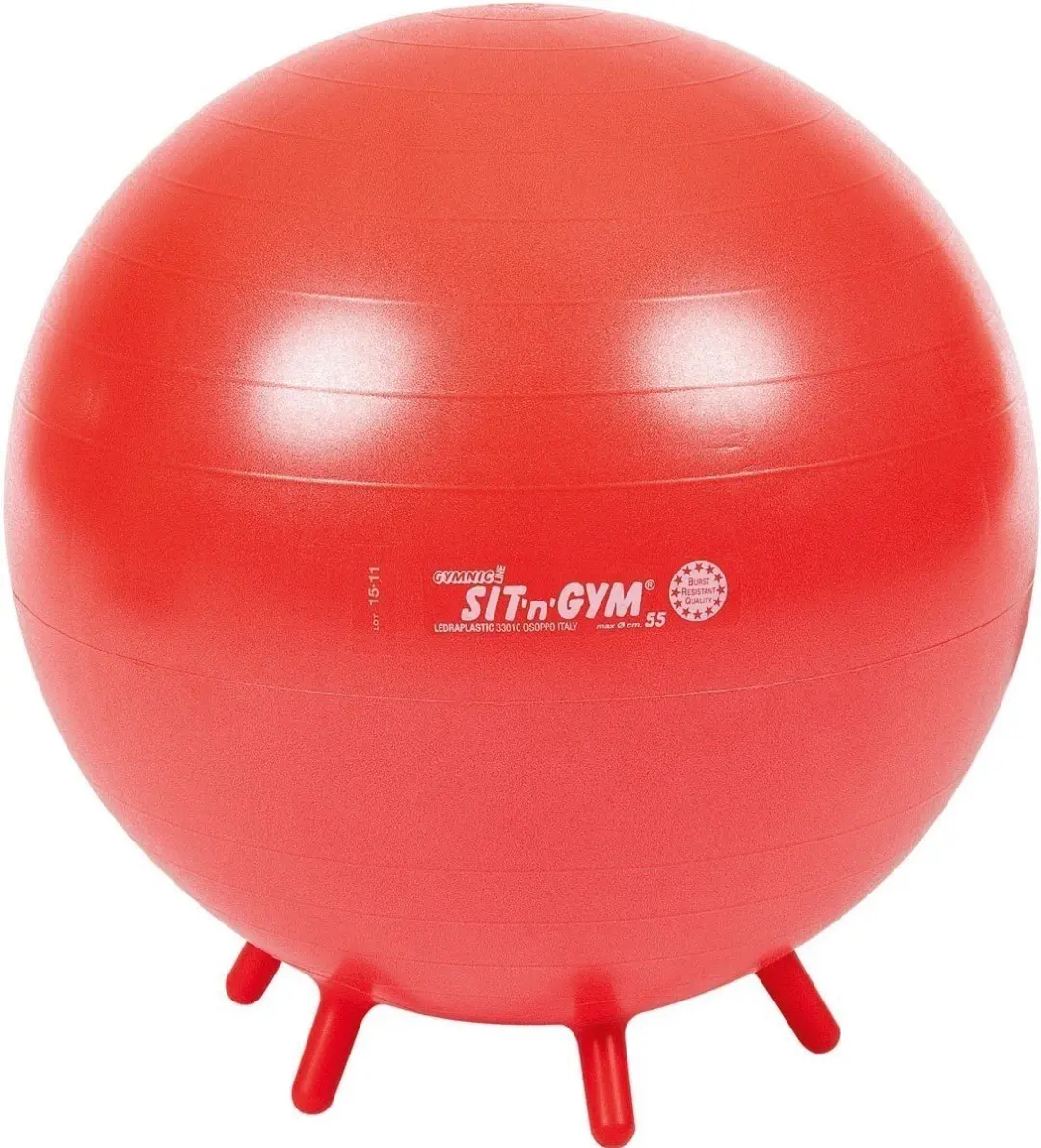 Gymnic Sit'n'Gym 55 BRQ