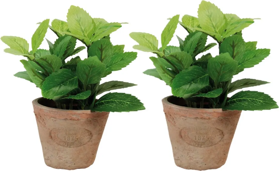 Esschert Design Kunstplant munt in pot AH003 Multicolor - afbeelding 4 van 5