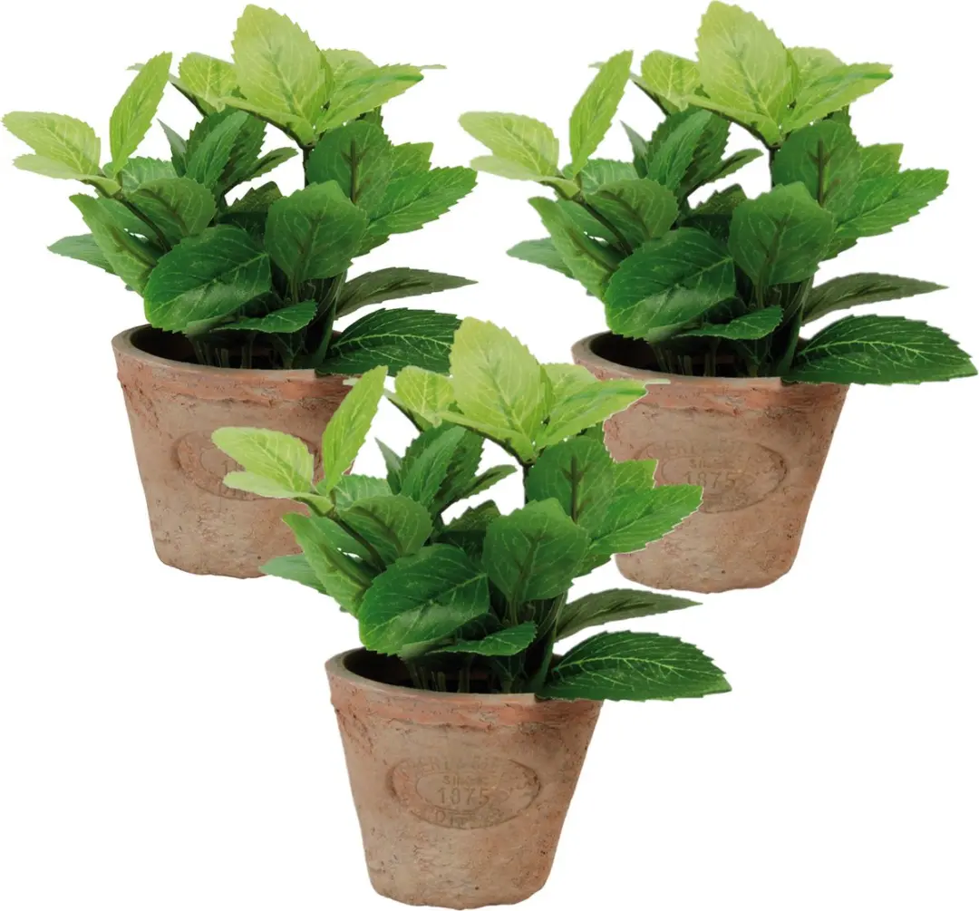 Esschert Design Kunstplant munt in pot AH003 Multicolor - afbeelding 3 van 5