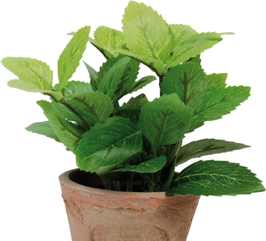 Esschert Design Kunstplant munt in pot AH003 Multicolor - afbeelding 5 van 5
