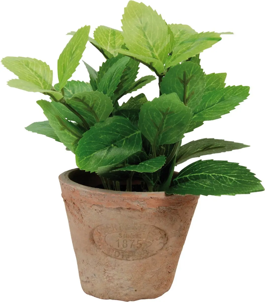Esschert Design Kunstplant munt in pot AH003 Multicolor