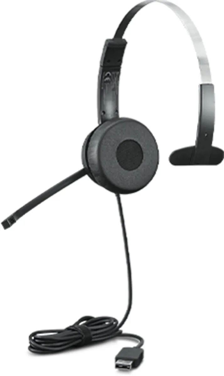 Lenovo 4XD1B61617 Hoofdtelefoon met microfoon