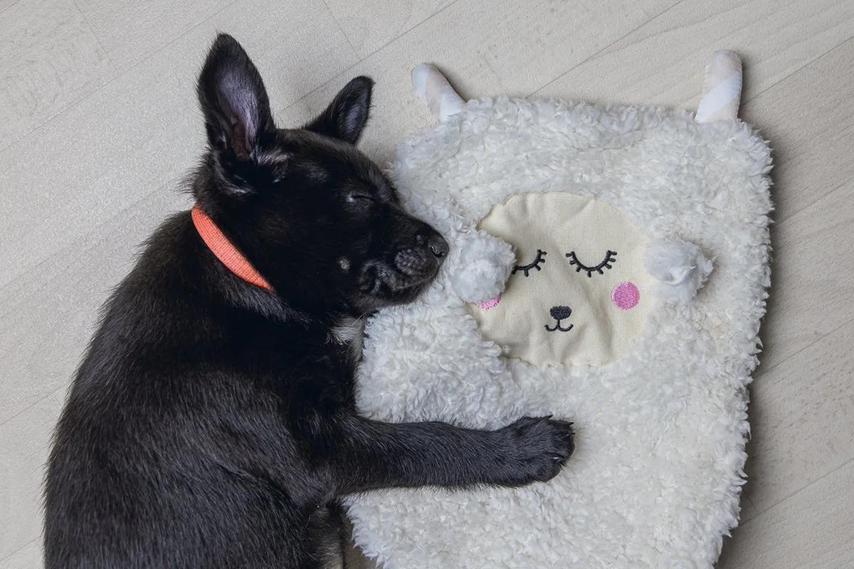 Beeztees Puppy Sjiepo Hondenspeelgoed - 40x22x5cm