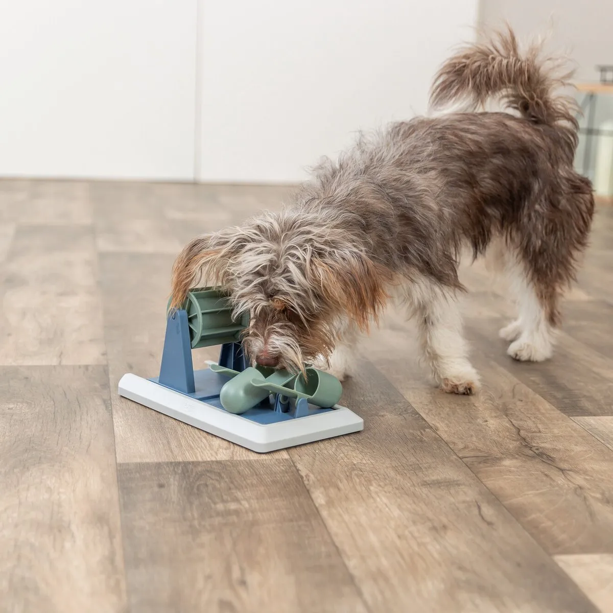 Trixie Dog Activity Intelligentiespel Poker Box Vario 2 - 32x17cm - Blauw