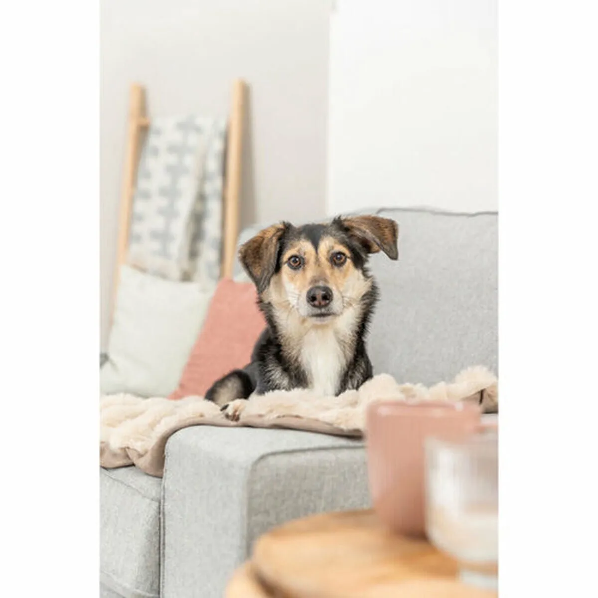Trixie Honden Dekbed Elli Zand 150x100cm