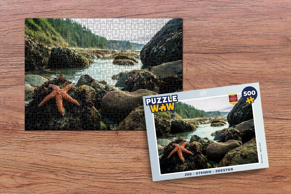 PuzzleWow Zee Zeester Legpuzzel 500 Stuks - Multicolor