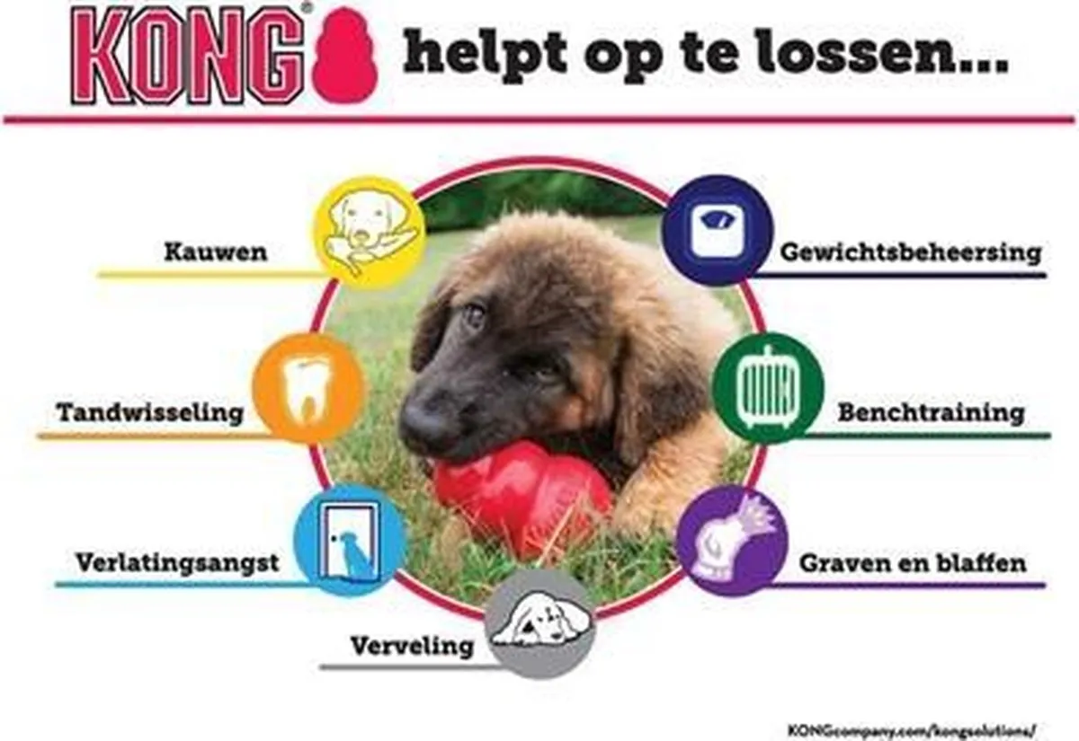 KONG Senior Large - Paars