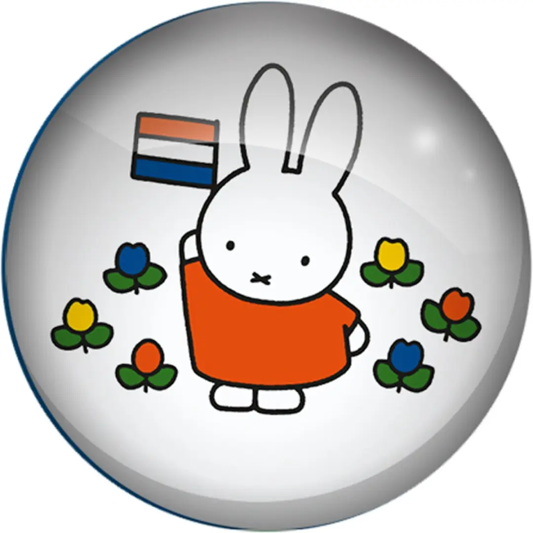 Koelkastmagneet