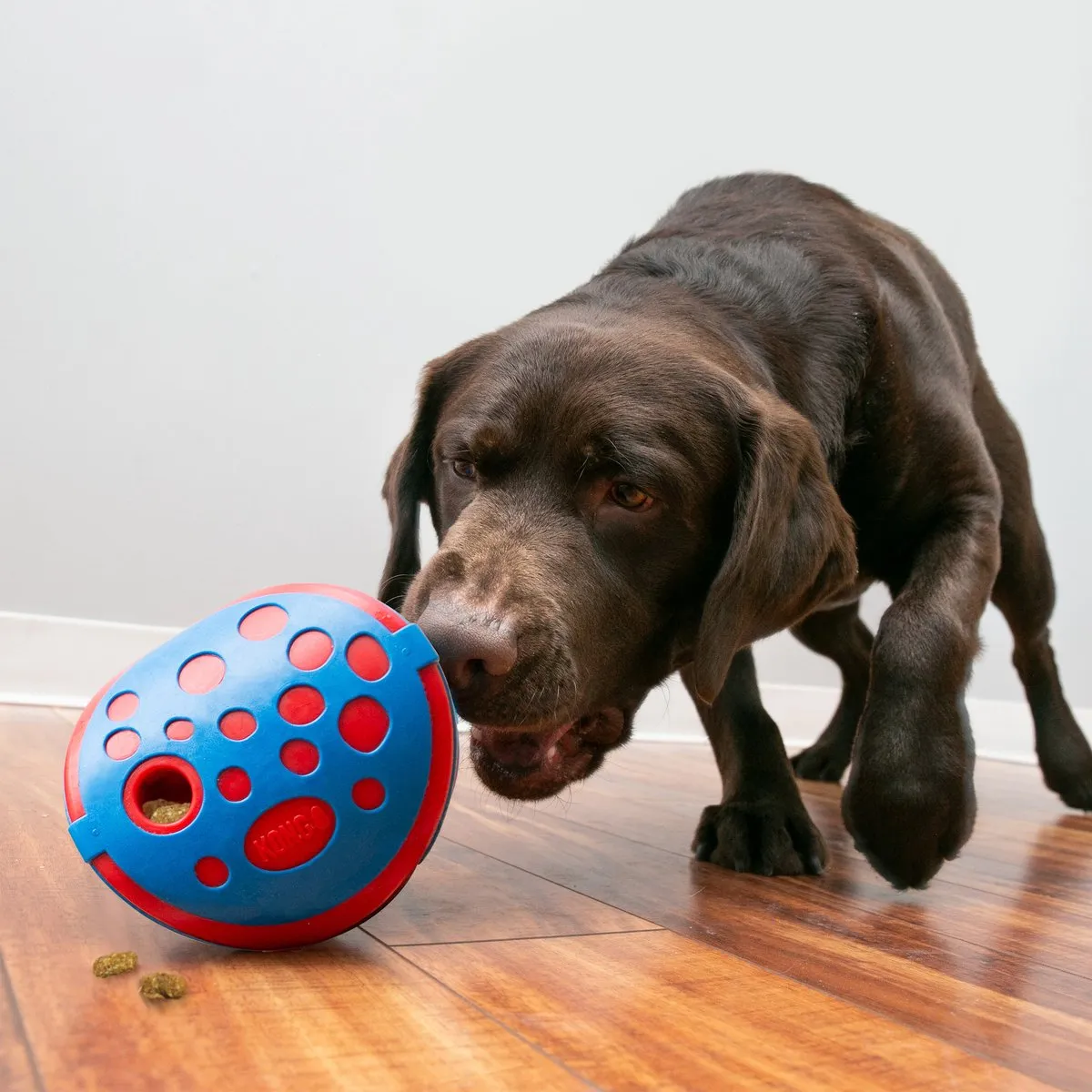 KONG Rewards Wally Hondenspeelgoed Ø12.5cm - Rood/Blauw