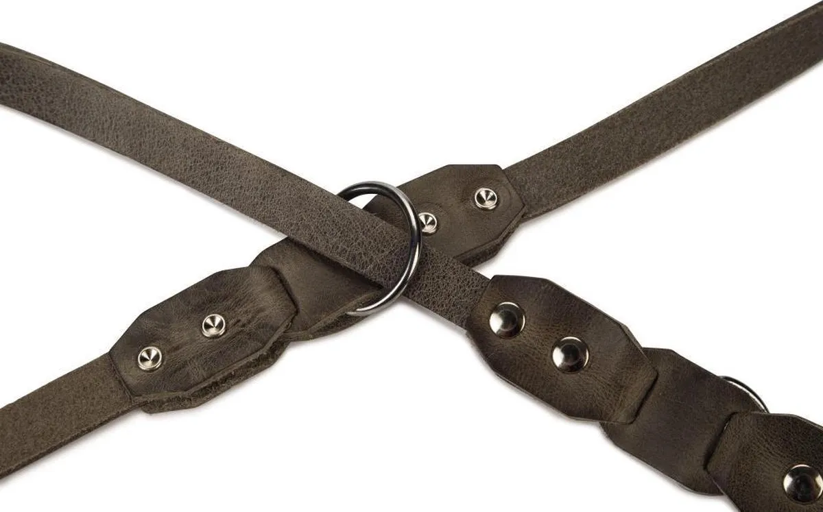 Beeztees Connex Leren Dressuurlijn 200cm x 18mm - Grijs - afbeelding 3 van 3
