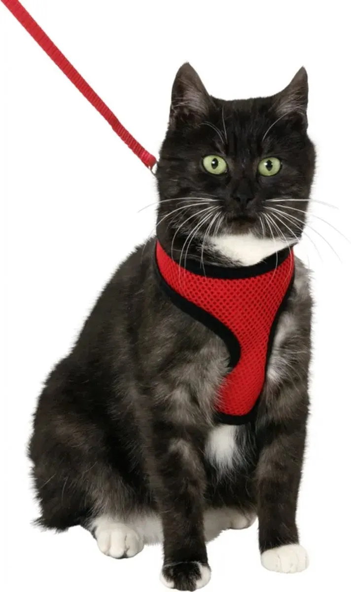 Flamingo Harnas Harms Kitten - Rood/Zwart - 28cm