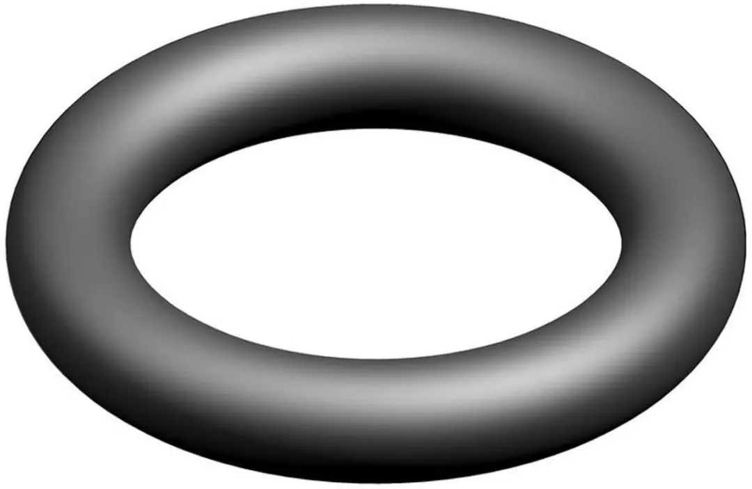 BOSCH O-ring (10x), 7100114
