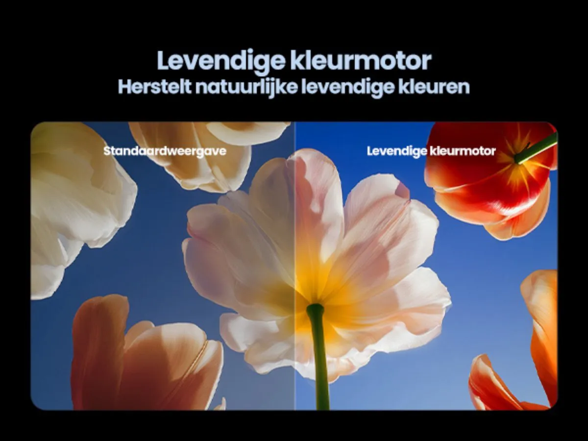 Xiaomi TV S Mini LED 65 2026 65 inch 4K Smart TV - 144Hz - Zwart - afbeelding 6 van 6