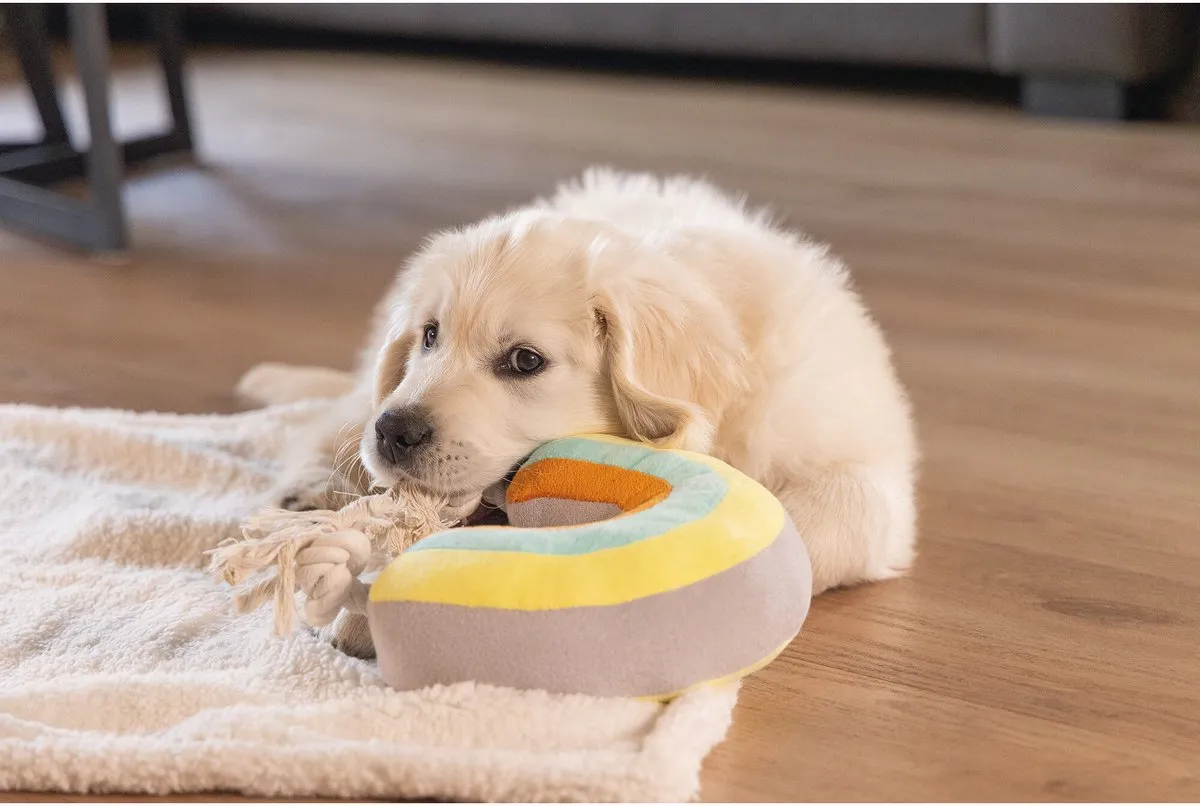 Beeztees Puppy Knuffel Regenboog