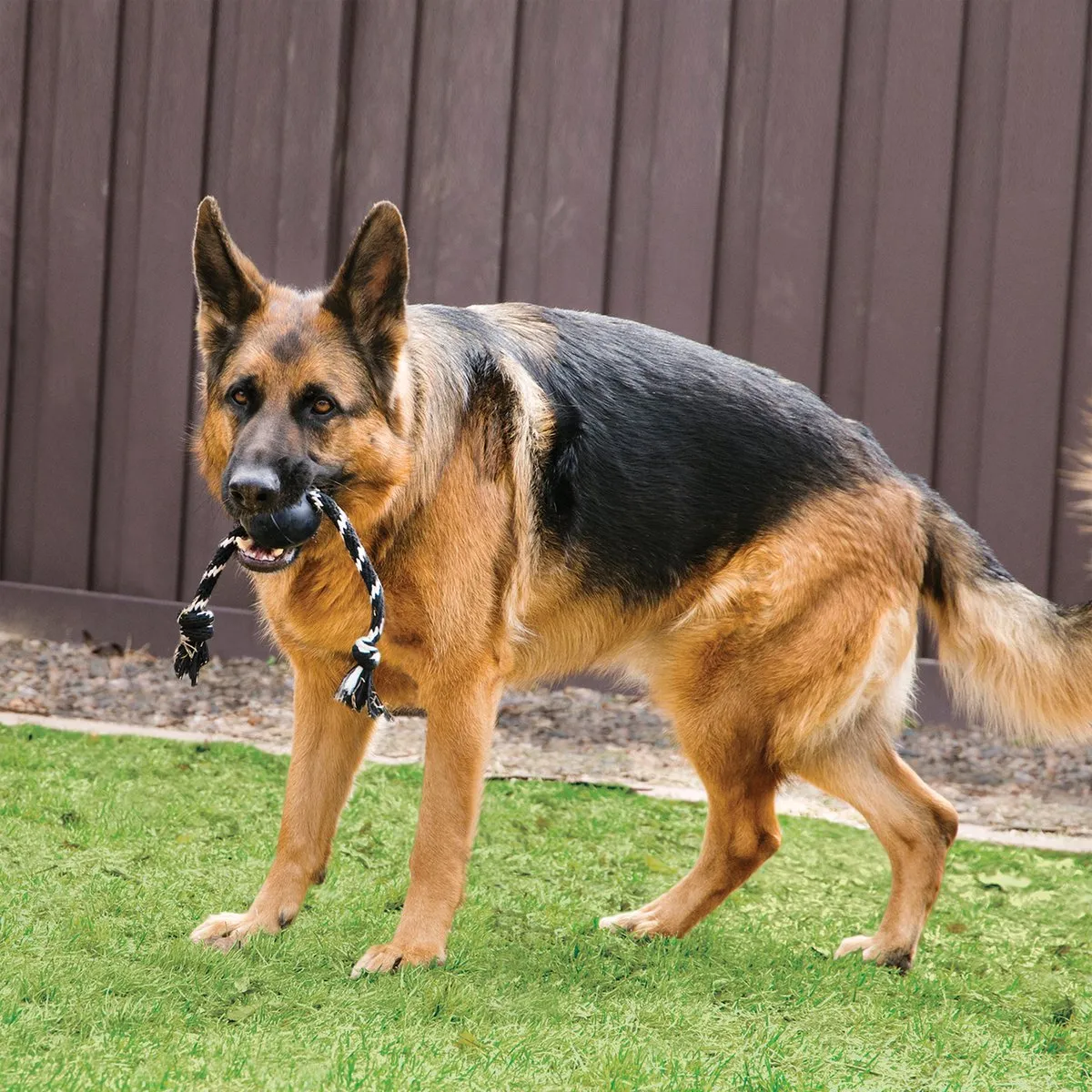 KONG Extreme Bal Honden Speelgoed - Ø7,5cm - Zwart/Wit