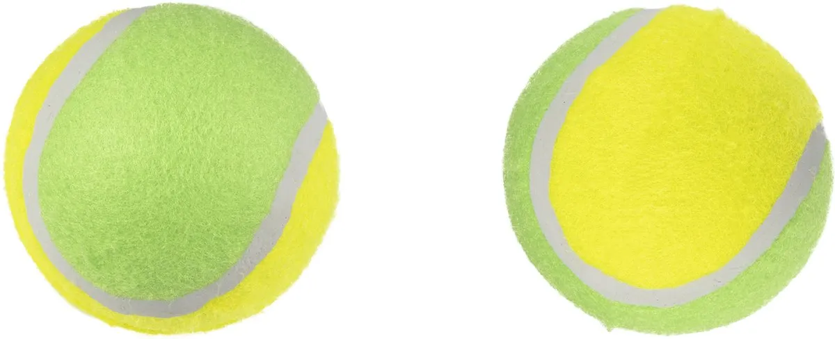 Flamingo Smash Tennisbal 2 Stuks