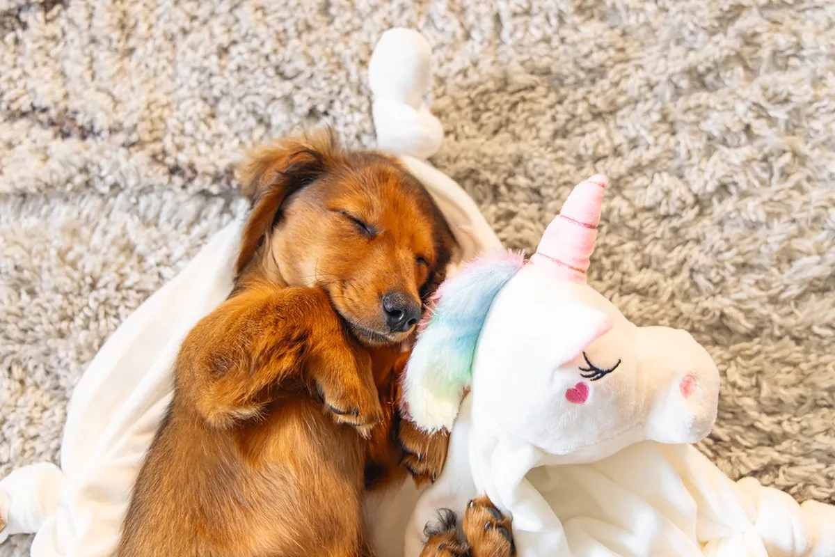 Beeztees Puppy Knuffeldoek Unicorn - L - Wit