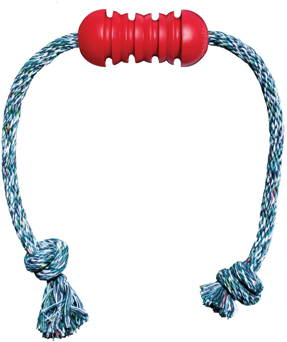 KONG Dental Met Touw S - 432x166x26mm - Zwart