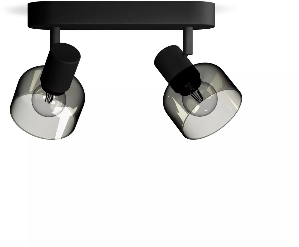Philips Sleet Spot Plafondspot 2x25W - Zwart