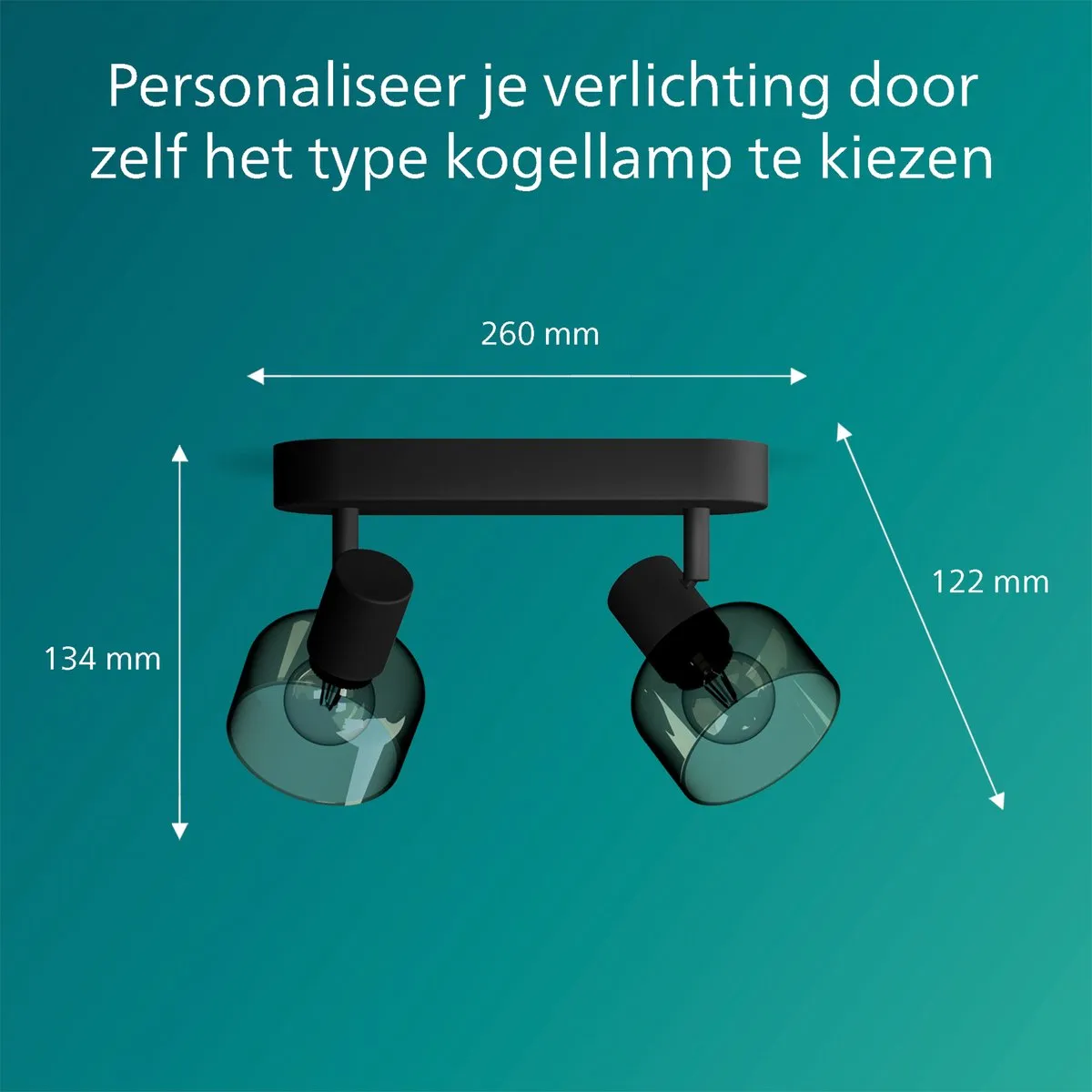Philips Sleet Spot Plafondspot 2x25W - Zwart