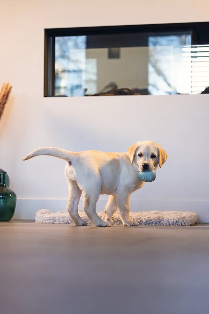 Beeztees Puppy Snack Ei Hondenspeelgoed Mint - afbeelding 6 van 6