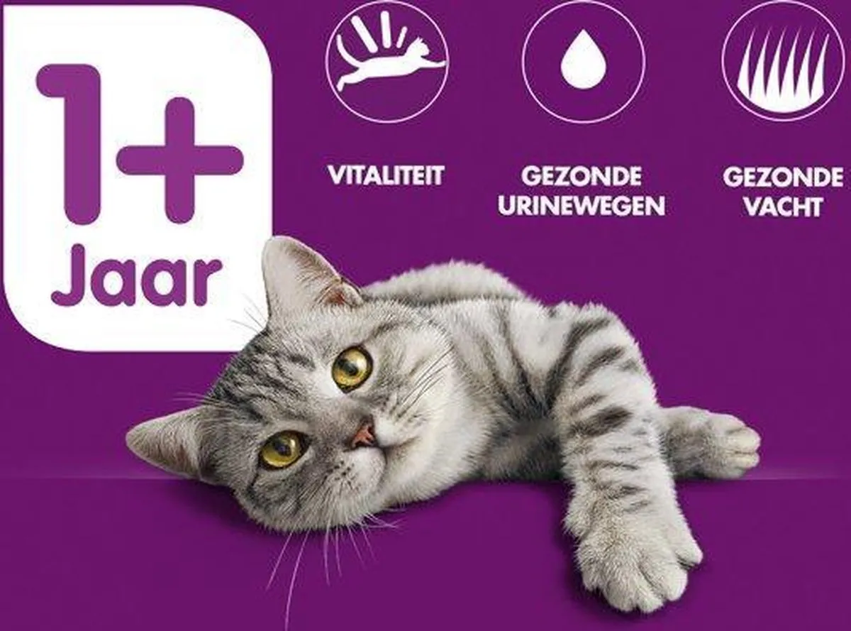 Whiskas Droogvoer Adult Rund/Wortel 4kg - afbeelding 2 van 2