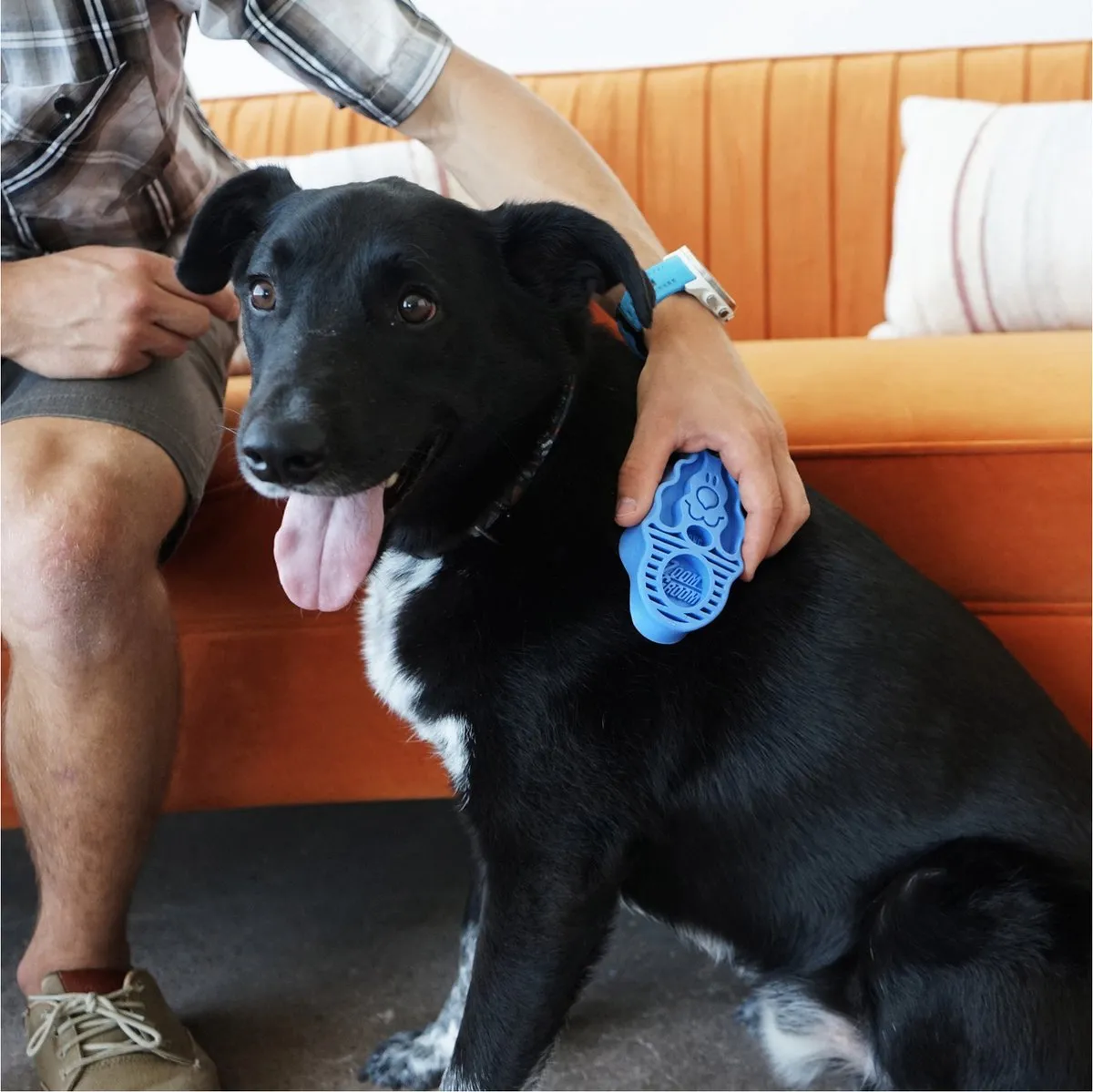 KONG Zoom Groom Hond - Blauw