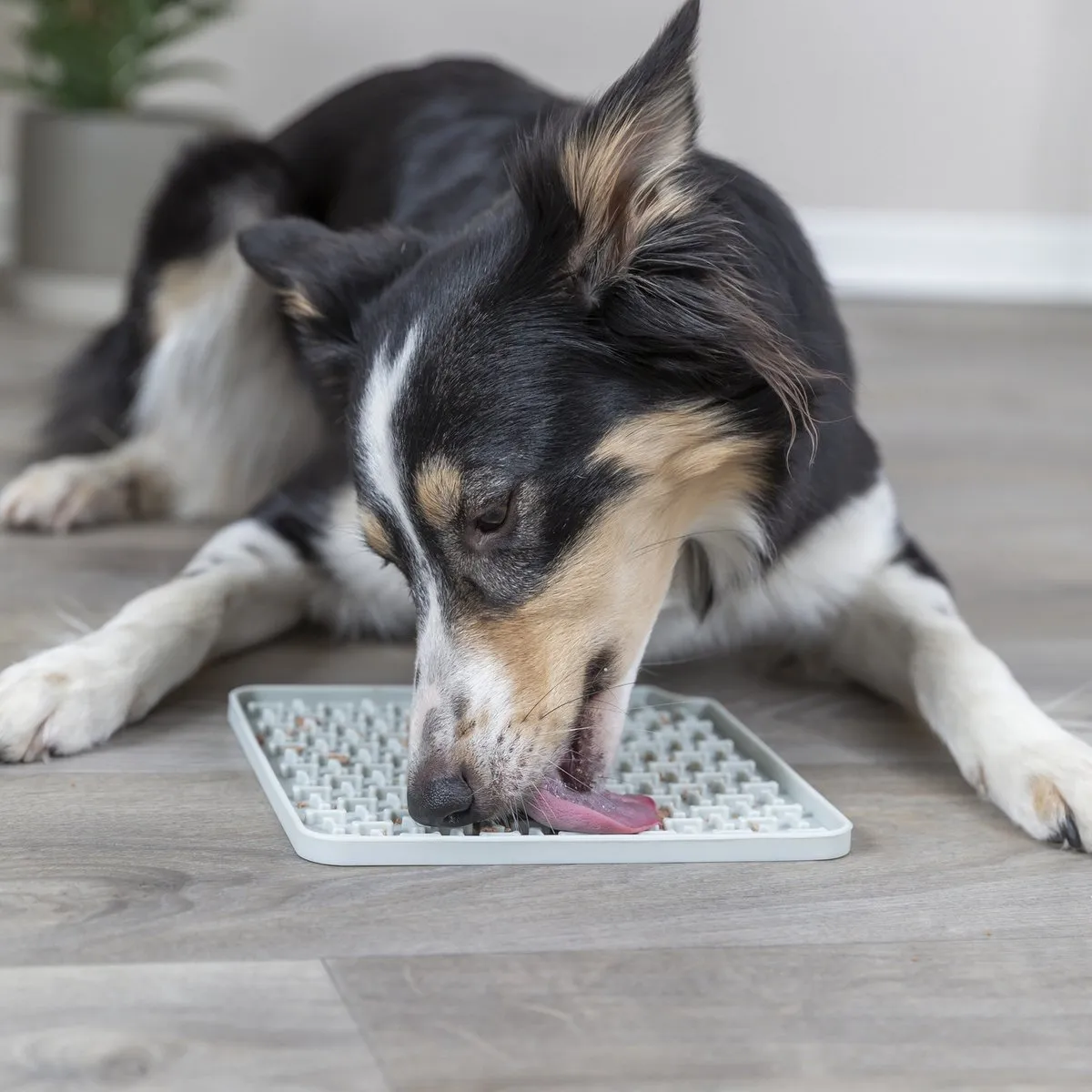 Trixie Lick'N'snack Likmat Anti Schrok - Siliconen 20x20cm - Grijs - afbeelding 6 van 6