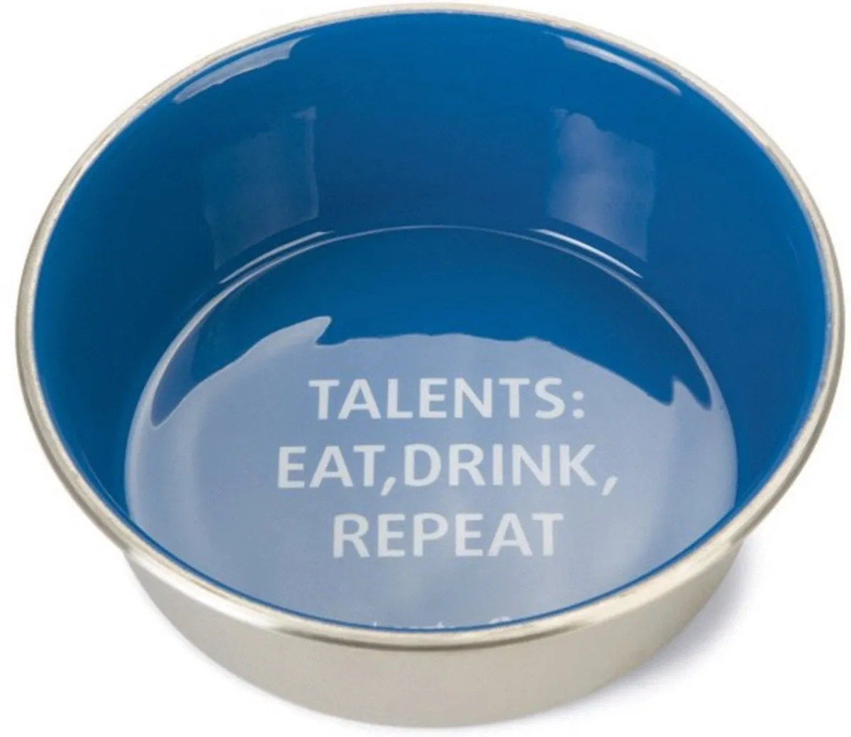 Beeztees Eetbak RVS Talents Hond