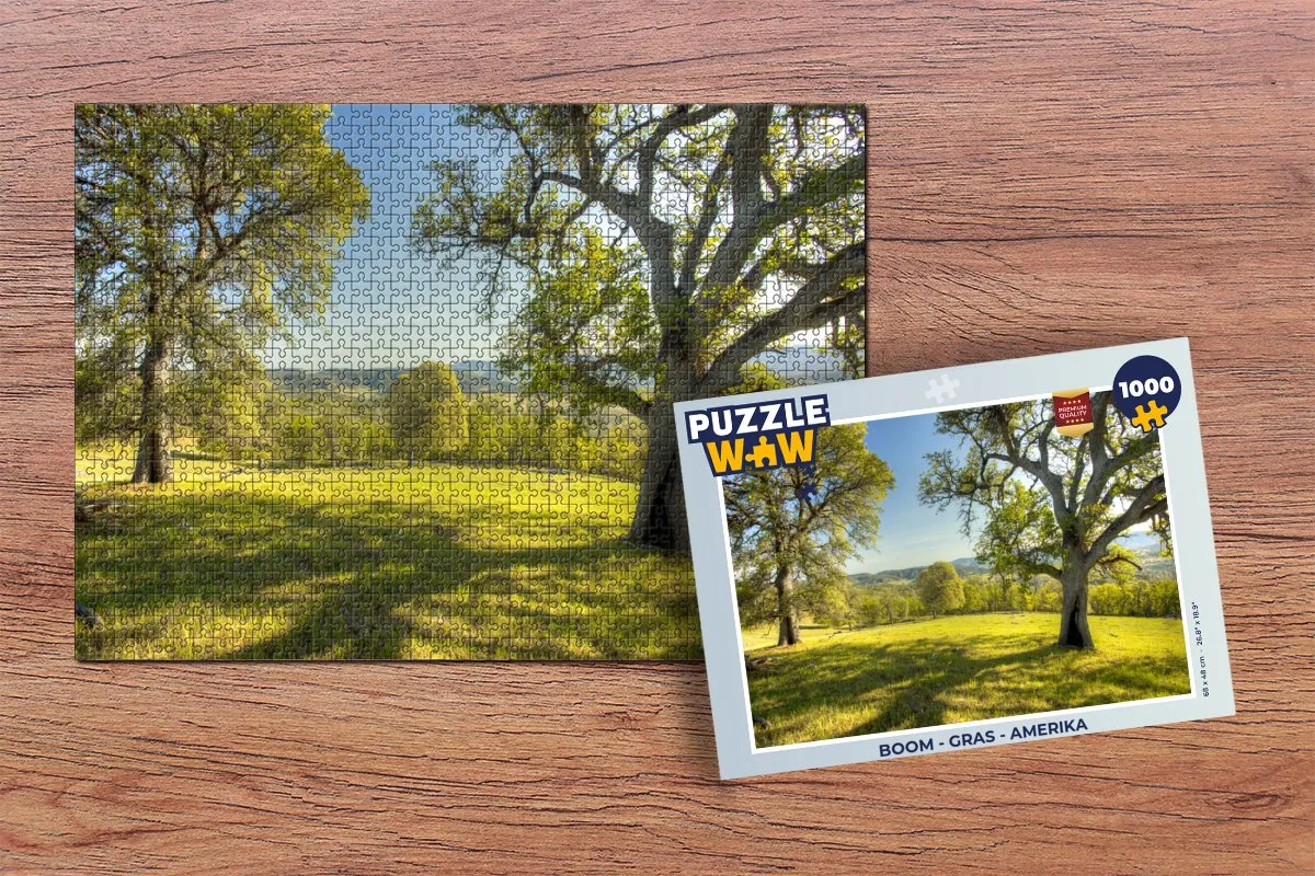 PuzzleWow Boom Amerika Legpuzzel 1000 Stuks - Multicolor