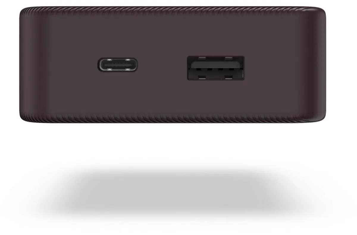 Hama Powerbank - Color - 20000mAh - 15W - 1x USB-C, 1x USB-A - Pruim