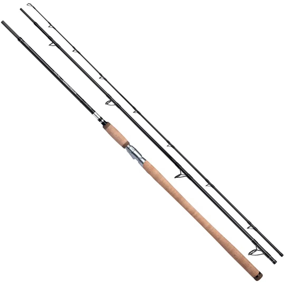 Shimano Speedmaster Salmon Spinhengel 3.96m 40-100g