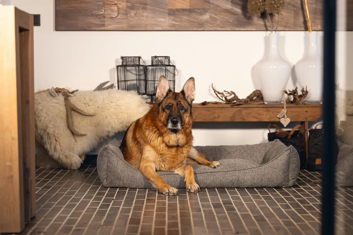 Beeztees Zia - Orthopedische Hondenmand - Grijs - 120x80x23 cm