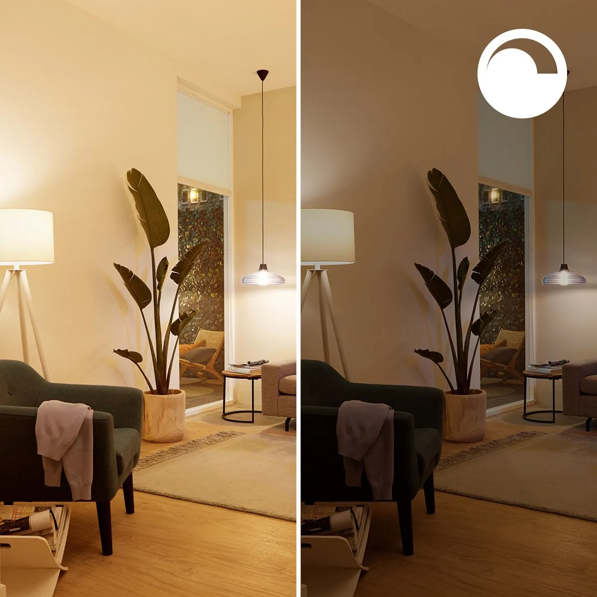 Philips Smart LED Globe E27 RGBW - 11W - 95cm - Mat