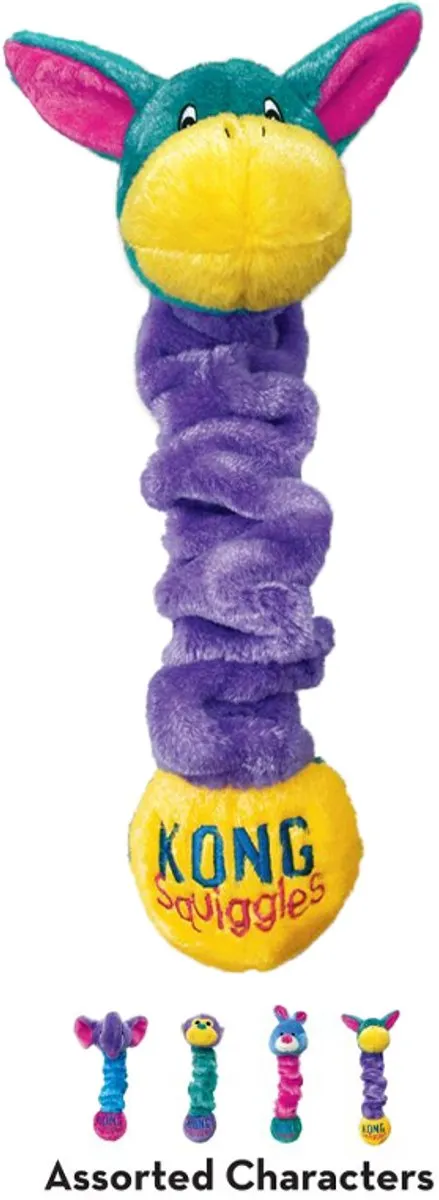 KONG Squiggles Hondenspeelgoed S - 23 cm