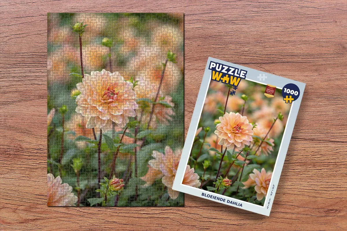 PuzzleWow Bloeiende Dahlia Legpuzzel 1000 Stuks - Multicolor