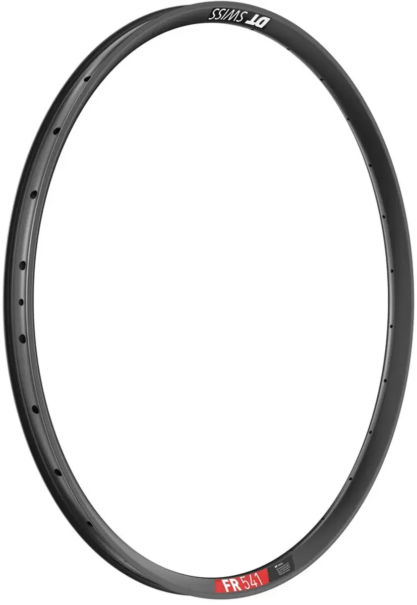 Dt Swiss Fr 541 29´´ Disc Tubeless Velg Zilver 29´´- 28H