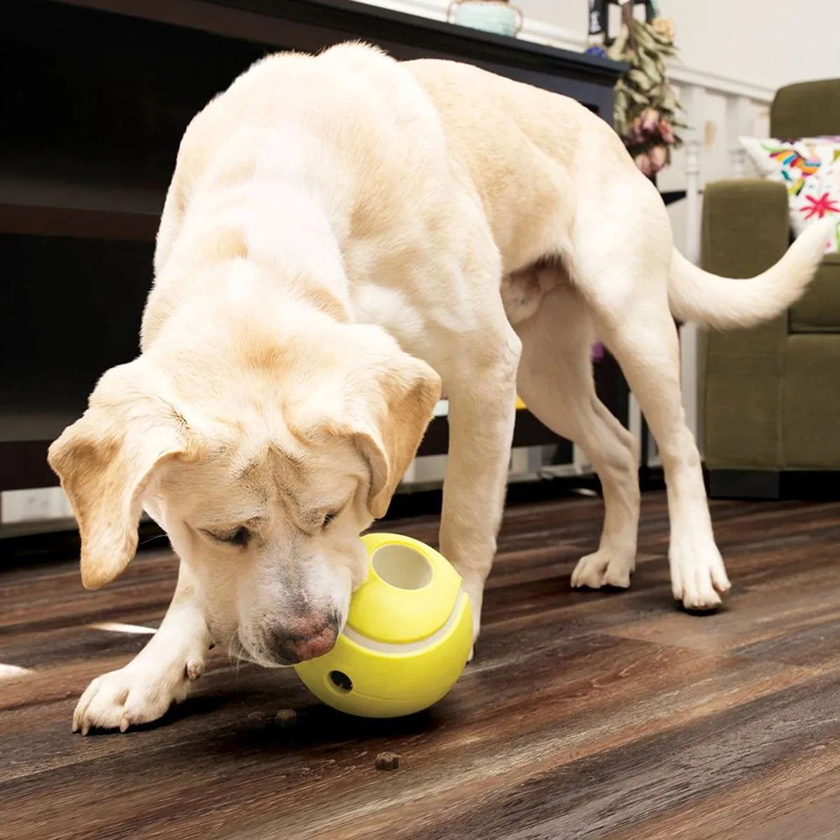 KONG Rewards Tennis Interactief Voerbal Honden - Small 8,5 cm - Multi