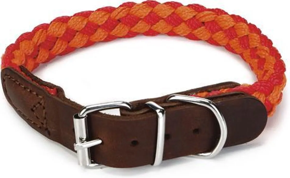Beeztees Korda Halsband Hond